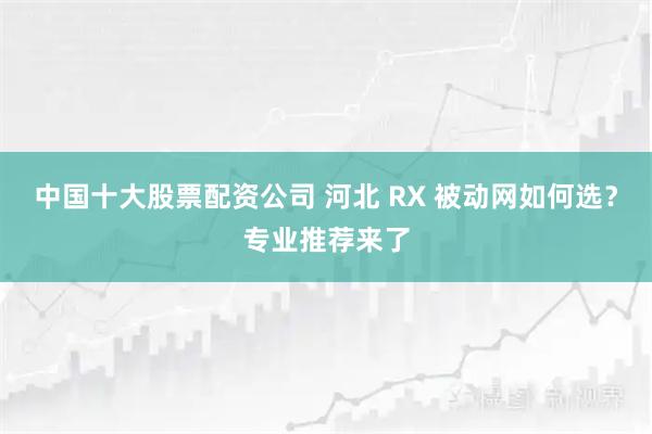 中国十大股票配资公司 河北 RX 被动网如何选？专业推荐来了